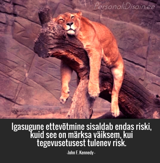 Igasugune ettevõtmine sisaldab endas riski, kuid see on märks väiksem, kui tegevusetusest tulenev risk_personalidisain.ee